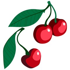 Vector illustration of cherries. Juicy berries lie with leaves and stems on a white background. Sweet cherry with twigs. 