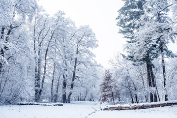 winter time in park from Sibiu city, Romania