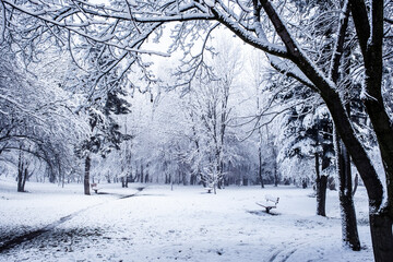 winter time in park from Sibiu city, Romania