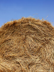 a huge stack of dry hay against the sky close-up. summer feed preparation