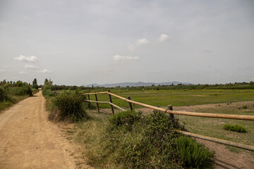 A view at Delta del Llobregat, El Prat, Spain