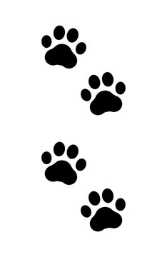 Paw prints. Icon dog puppy and cat. Footprint pet. Foot puppy isolated on white background. Black silhouette paw. Cute shape paw print. Walk pets Design animal track. Trace walks. Vector illustration