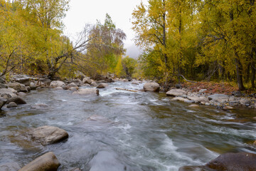 River 'Zhizhi'. Fall. Overcast. Ile-Alatau mountains, Almaty region, Kazakhstan.