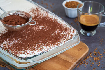 Hand sprinkles cocoa powder on a traditional tiramisu cake using a sifter. Authentic gluten-free Italian layered dessert with ladyfinger biscuits and mascarpone. Cup of coffee in background. Motion