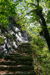 Obraz premium The woods and nature of Valtellina on a spring day in the Italian Alps, near the town of Novate Mezzola, Italy - May 2021