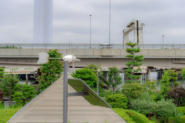 東京都品川区天王洲から見た東京の都市景観