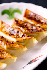 traditional asian comfort food pan fried dumpling gyoza
