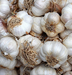 dried garlic in the market