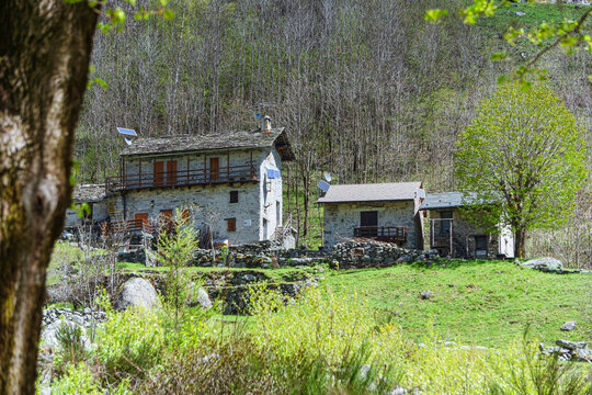 The mountain pastures, houses and meadows of val codera: a small valley near the town of Chiavenna, Italy - May 2021