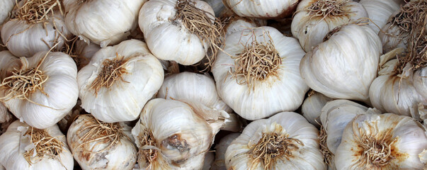 dried garlic in the market