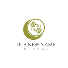 olive icon vector illustration