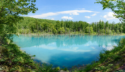 パノラマ撮影  夏のよく晴れた日の青い池  北海道美瑛町の観光イメージ