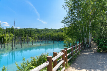 Fototapeta na wymiar 夏のよく晴れた日の青い池 北海道美瑛町の観光イメージ