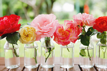 Variation or group of garden roses flowers in small vases or bottles. Colorful flower arrangement or decoration in rainbow colors. Home or garden, terrace decor concept.
