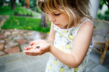 Little preschool girl holding small wild frog. Happy curious child watching and exploring animals in nature.