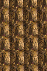 iron metal texture pattern wallpaper