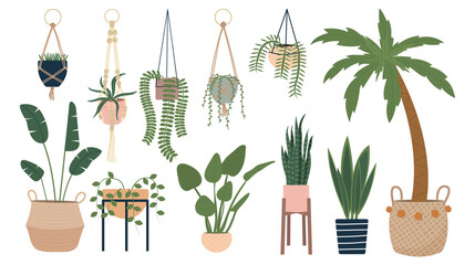 Home potted plants collection. Urban jungle trendy vector illustration. Tropical leaves, indoor flowers isolated on white background