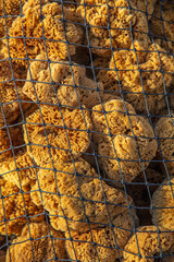 bag of sea sponges