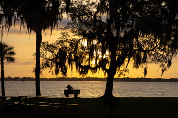 philippe park silhouette