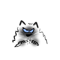 Angry cat with blue eyes broke a pencil