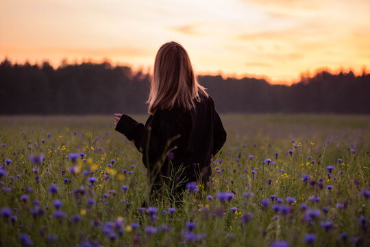 Young woman in a black jacket walks in a cornflower field at sunset. Amazing summer landscape in Belarus. Beautiful orange sunset over blue wildflowers meadow. Back view of girl walking at the field.