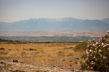 fog in the mountains