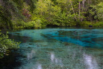 peaceful at itchetucknee springs