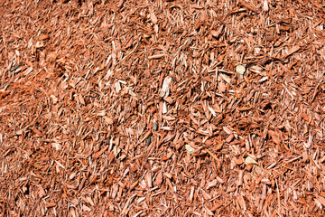 texture of wood mulch under the sun