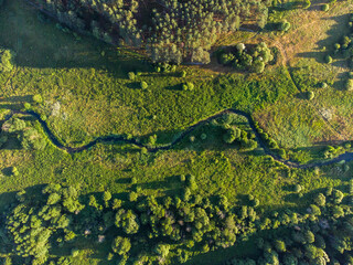A little stream at the wild field with forest