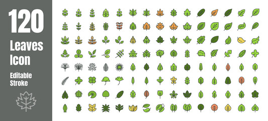 Spring and Autumn Leaf Filled Flat Color Outline line Icon Set. Minimal Style Illustration Vector.