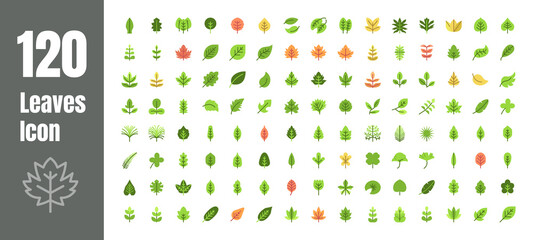 Spring and Autumn Leaf Flat Color Icon Set. Minimal Style Illustration Vector.