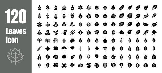 Spring and Autumn Leaf Solid Glyph Icon Set. Minimal Style Illustration Vector.