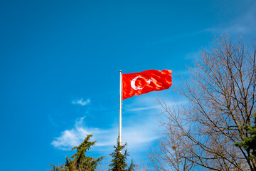 Turkish Flag and trees in the bottom