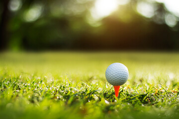 golf ball on tee in a beautiful golf course with morning sunshine