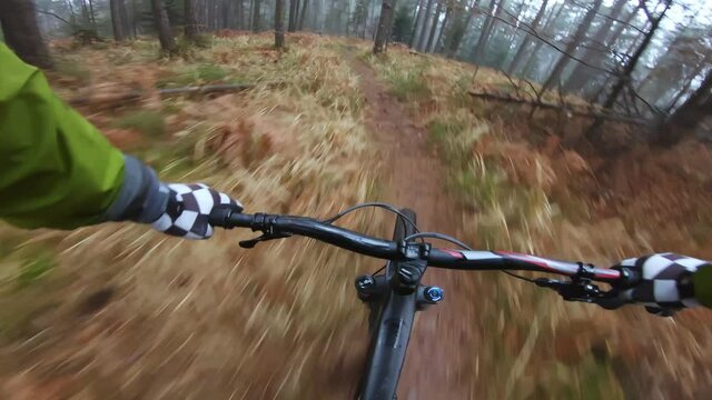 POV Mountain biking on a narrow bumpy winding dirt path through the forest, fast ride downhill