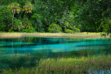 rainbow springs flow