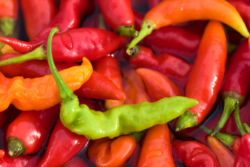 Ají verde entre maduros.