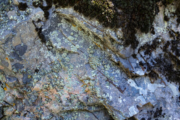 texture of natural stone covered with moss. wet stone in the forest