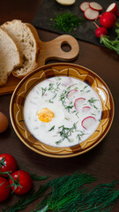 Traditional okroshka soup on kefir with egg and dill.  ingredients for okroshka on the table