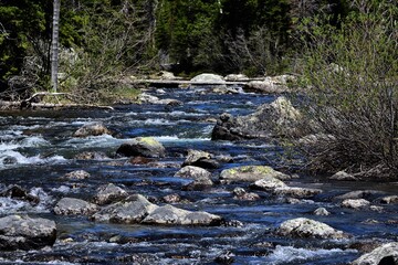 mountain stream among the rocks