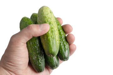 cucumber in hand