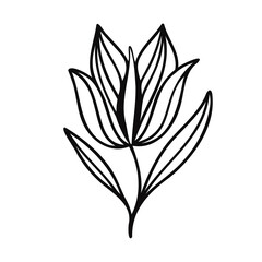 Modern isolated stylized design with abstract black and white flower