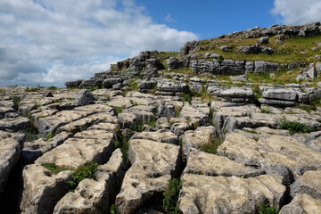 Fototapeta na wymiar Limestone pavement scenery, Yorkshire Dales, UK