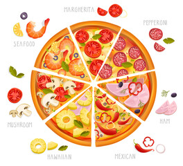 Types of Pizza slices and Basic Ingredients vector illustration for pizzeria menu design. Cartoon Style vector pizza with ingredients isolated on white