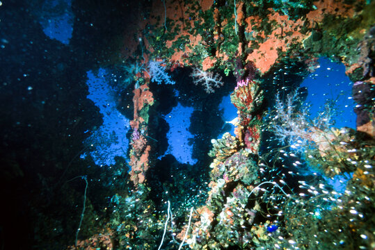 Bridge Wheelhouse of a Sunken Ship Wreck at Truk Chuuk Lagoon Micronesia that is now a Coral Reef with Colorful Fish