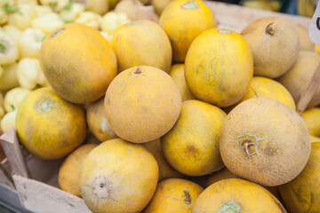 Fresh Summer Healthy Food Melon On Farmers Market