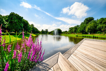 City park of Papenburg in summer, East Frisia