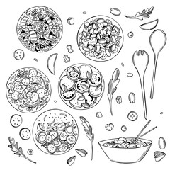 Salad set. Vector illustration.