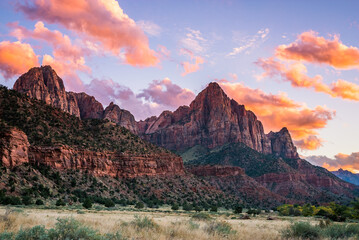 The rays of the sun illuminate red cliffs. Park at sunset. A beautiful pink sky. Zion National Park, Utah, USA