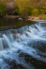 Spring color in Warrenville Grove. Warrenville, IL..IL-100421-0004
